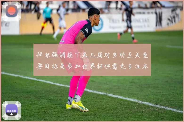 拜尔强调接下来几周对多特至关重要目标是参加世界杯但需先专注本赛季表现