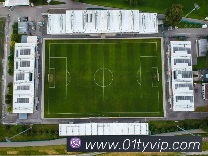 App Interface Preview