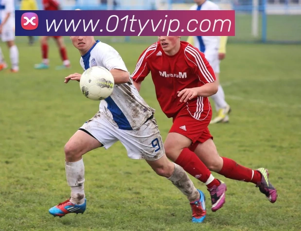 01体育APP 封面图